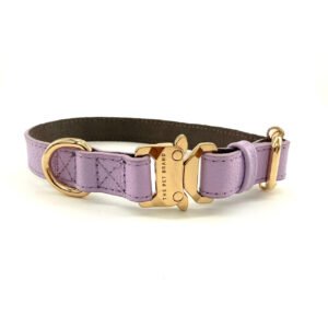 Collar Lavender Dream – Línea Premium