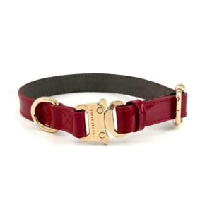 Collar Maleficent Red – Línea Premium