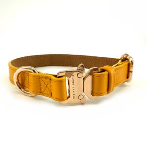 Collar Yellow Sunrise – Línea Premium