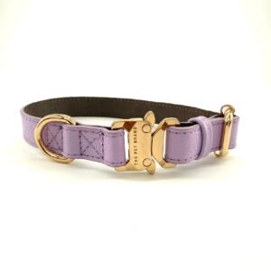 Collar Lavander Dream + Personalización – Línea Premium