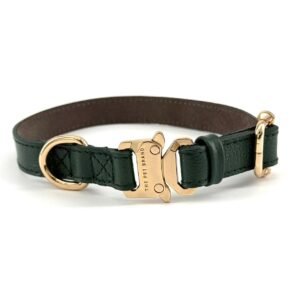 Collar Classic Green – Línea Premium