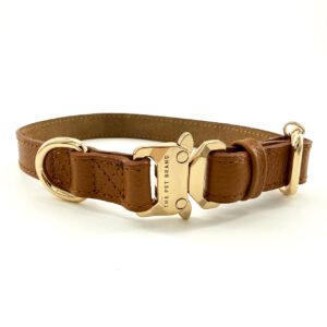 Collar Sahara Desert – Línea Premium
