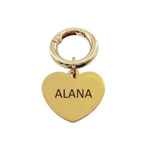Placa De Identificación – Modelo Corazón