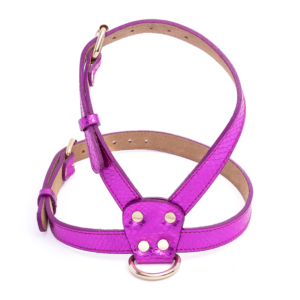Arnés Barbie’s World Fucsia