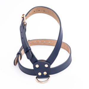 Arnés Classic Blue