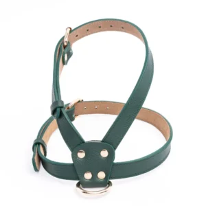 Arnés Classic Green