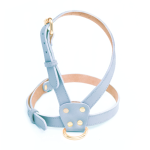 Arnés Light Blue Dream