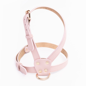 Arnés Princess In Pink