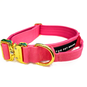 Collar Outdoor Fuchsia
