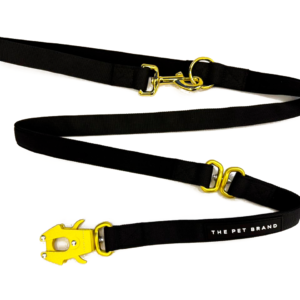 Leash Outdoor Black
