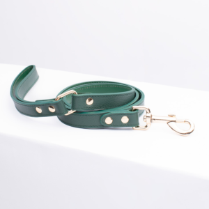 Correa Classic Green