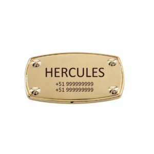 Placa De Identificación – Modelo Ovalado/Rectangular
