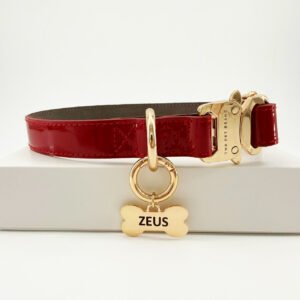 Collar Maleficent Red + Placa – Línea Premium