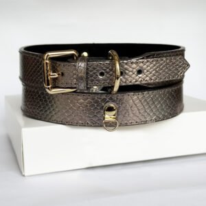 Collar Grey Dragon – Línea Clásica