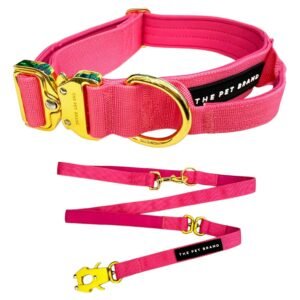 Collar y Correa Outdoor Fuchsia