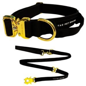 Collar y Correa Outdoor Black