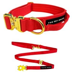 Collar y Correa Outdoor Red